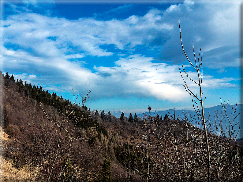 foto Salita dal Monte Tomba a Cima Grappa